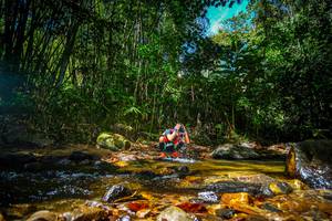 BIB: 
                            <button type="button" onclick="openModal(21765567)" class="btn btn-primary btn-sm float-right btn-popup" data-toggle="modal" data-target=".modal-high-quality">
                        <i class="fas fa-shopping-cart"></i> Add to Cart
                    </button>
                                            <button type="button" onclick="isThisMe(21765567, true)" class="btn btn-success btn-sm float-right btn-popup btn-isme hidden" data-toggle="tooltip" data-placement="bottom" title="นี่คือรูปของคุณใช่ไหม คลิกที่นี่เพื่อเอาเข้าอัลบั้ม">
                        <i class="fas fa-plus"></i> Add to album
                    </button>
                    <button type="button" onclick="isThisMe(21765567, false)" class="btn btn-warning btn-sm float-right btn-popup btn-isnotme hidden">
                        <i class="fas fa-ban"></i> Remove from album
                    </button>